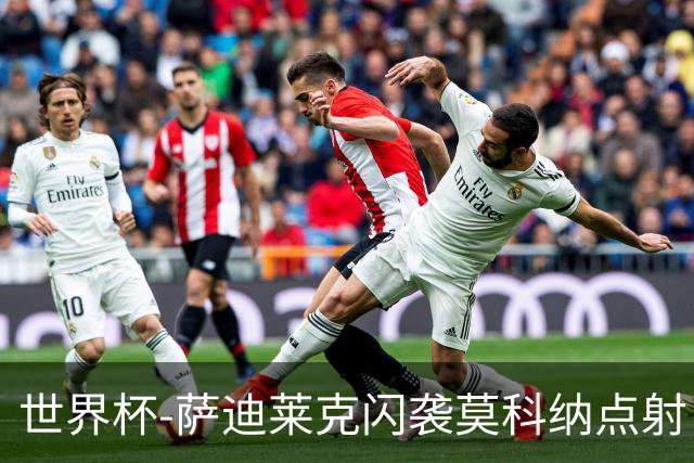 世界杯-萨迪莱克闪袭莫科纳点射 捷克痛失好局1-1南非