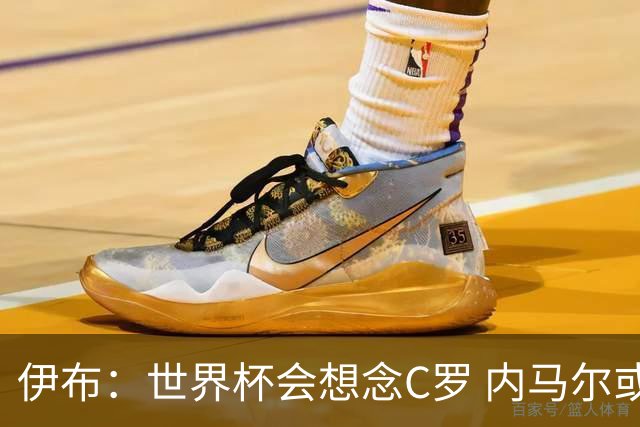 伊布：世界杯会想念C罗 内马尔或许和莫德里奇一样退出了国家队