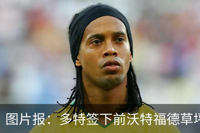 图片报：多特签下前沃特福德草坪主管，出任俱乐部场地管理负责人