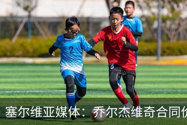 塞尔维亚媒体：乔尔杰维奇合同价值100万美元