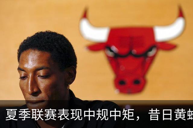 夏季联赛表现中规中矩，昔日黄蜂6号秀新赛季能否重返轮换阵容？