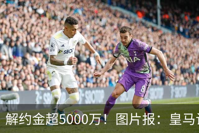 解约金超5000万！图片报：皇马计划报价施洛特贝克，球员向往皇马